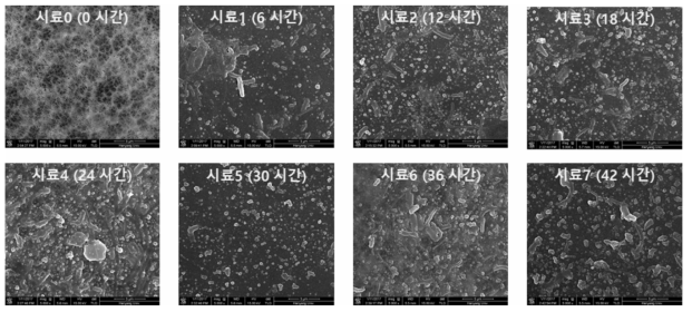 보증기간 내 0~ 7 번 시료 SEM 이미지