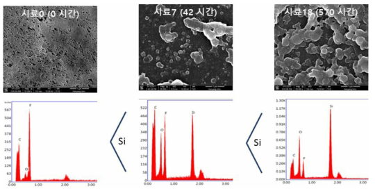 0, 7, 18 번 시료 SEM 및 ED S 분석 결과