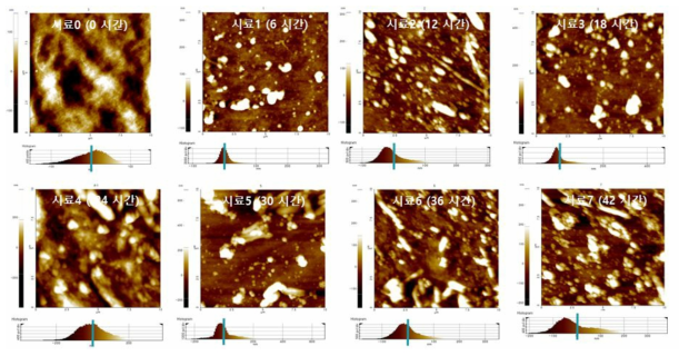 보증기간 내 0~ 7번 시료 AFM 분석 결과