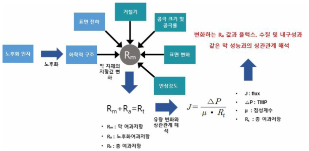 막 여과저항과 성능간의 상관관계 해석 모식도