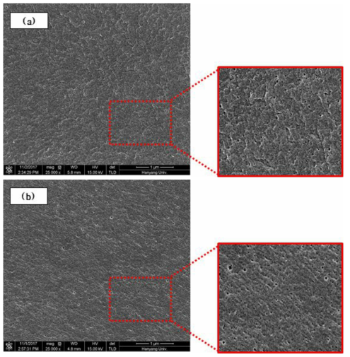 NaOCl 노출강도에 따른 SEM 이미지 : (a) 63 g·hr/L, (b) 639 g·hr/L