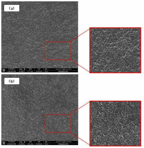 NaOCl 노출강도에 따른 SEM 이미지 : (e) 1,359 g·hr/L, (f) 1,647 g·hr/L