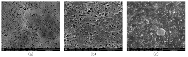 SEM morphologies of (a) Membrane_I, (b) Membrane_LTO and Membrane_AT