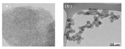 (a)블랙카본소구체의 고해상도 TEM 이미지(Poosfai and Buseck, 2010) (b) 대표적인 그을음 입자의 TEM 이미지(Alexander et. al. 2008)