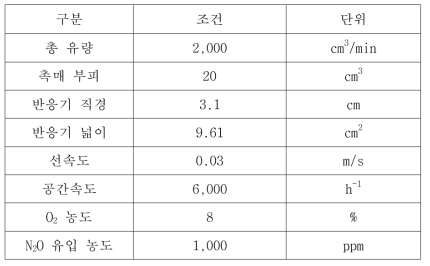 N2O 분해 촉매 실험 조건