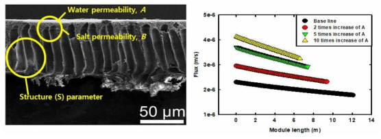 멤브레인 SEM 사진 및 모듈 길이에 따른 플럭스