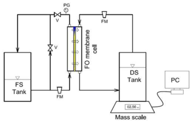 실험실 규모의 PFO공정실험의 모식도