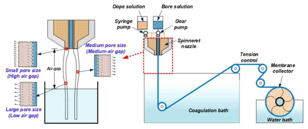 Air-gap 변화에 따른 중공사 지지층의 구조적 특성 변화 및 중공사막제조 장치 모식도