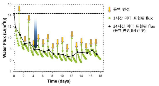 기존 하수 활용시 시간에 따른 R1 정삼투 막 water flux 변화