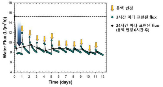 2배 농축 하수 활용시 시간에 따른 R2 정삼투 막 water flux 변화