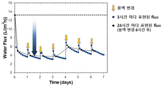 4배 농축 하수 활용시 시간에 따른 R3 정삼투 막 water flux 변화