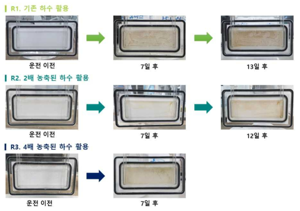 운전 이후 오염된 R1, R2 및 R3 정삼투 막