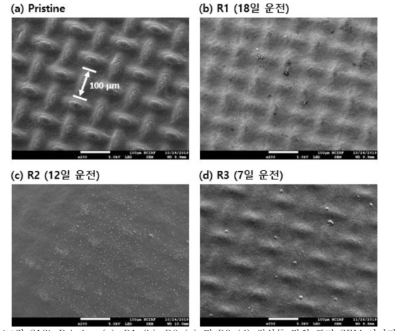 Pristine (a), R1 (b), R2 (c) 및 R3 (d) 정삼투 막의 표면 SEM 이미지