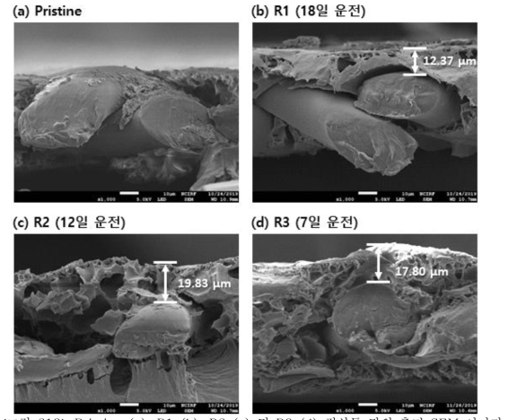 Pristine (a), R1 (b), R2 (c) 및 R3 (d) 정삼투 막의 측면 SEM 이미지