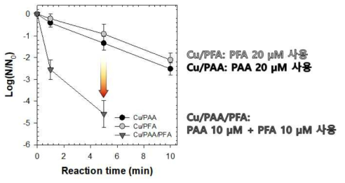 Cu/PAA/PFA 시스템을 활용한 E.coli 의 불활성화