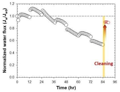 Cu/PAA/PFA 시스템을 활용한 실험실 규모 FO 공정에서의 막오염 세정