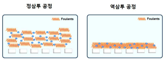정삼투 공정과 역삼투 공정에서의 막오염층 구조 경향 (좌 : 정삼투 (비가압형), 우 : 역삼투 (가압형))