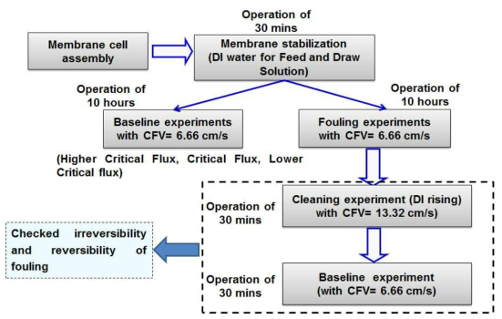Critical Flux 측정을 위한 과정 모식도