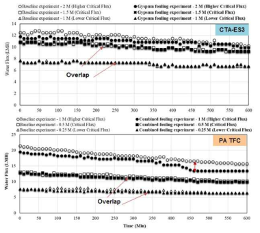 Gypsum scaling 조건하 CTA-ES3와 PA-TFC 막의 수투과도 감소 경향 비교