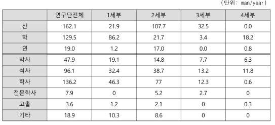 세부과제별 인력 특성