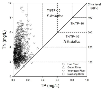 4대강 하류에서 TN/TP 비율에 따른 제한영양염 평가