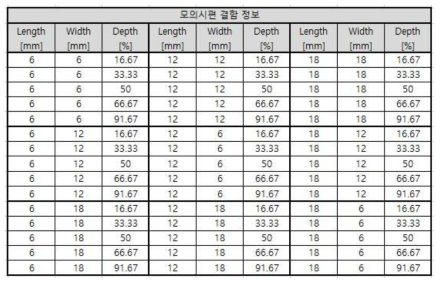 모의시편 결함 정보