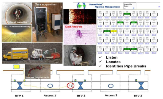 Pure technologies 사에서 AFO(Acoustic Fiber Optics) 제품