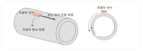 관외면 진단 시스템 개요