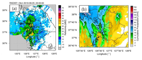 WHAP DA opt의 (a) 2019.09.05.0300UTC 2 km 상공 레이더 합성장 CAPPI 영상 및 (b) 2019.08.11.1200UTC~2019.08.11.2100UTC에 모의된 누적강수량