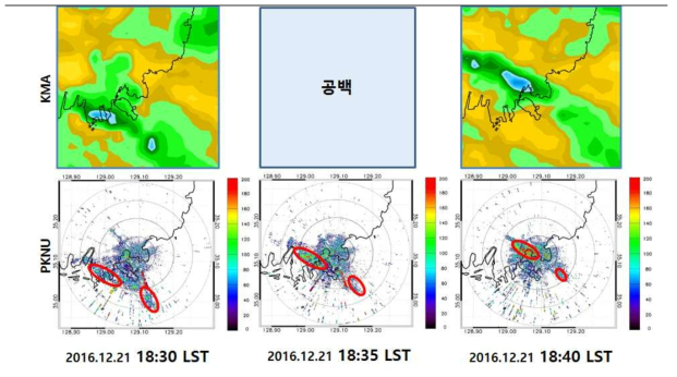 기상청 기상레이더와 선박용 소형 레이더의 강우 분포 비교 (2016년)