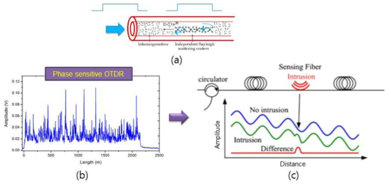 (a) 위상 민감형 광섬유 OTDR 센서의 펄스 내부의 광간섭 (b) 위상