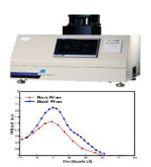 Pore size distribution