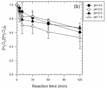 (근)중성 pH 영역에서 입상 황화철 촉매/과산화수소 시스템에 의한 과산화수소 분해 [4-Chlorophenol]0 = 1 mM ; [H2O2]0 = 100 mM ; [Catalyst]0 = 20 g/L ; pH = 4.0, 5.0, 6,0, 7.0 ; Reaction time = 120 min