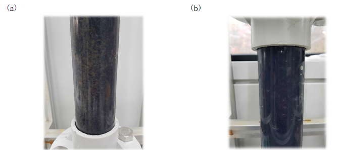 FeS 입상 촉매가 충진된 컬럼 반응기 HRT (60분) 5 사이클이 지난 후의 하단부 사진 (a) 및 상단부 사진 (b)