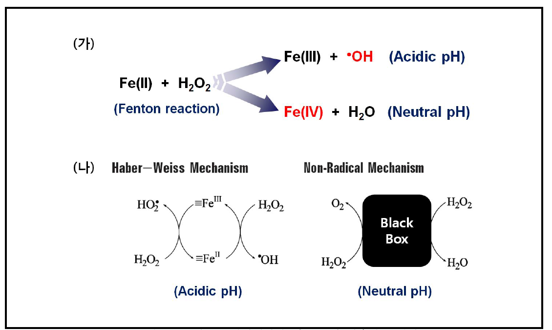 중성 pH 영역에서의 펜톤 산화 적용의 한계점 (가) pH에 따른 활성산화제 생성 종류의 변화, (나) pH에 따른 과산화수소 분해 매커니즘의 변화