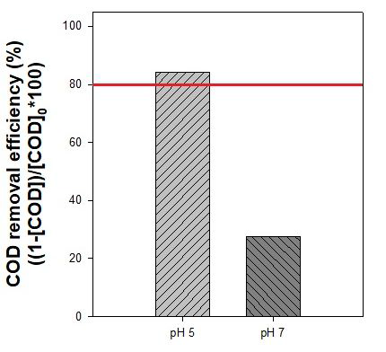 개발된 촉매/과산화수소 시스템에 의한 대상 실폐수의 COD제거 효율 [Industrial waste water]0 = 1125.58 ppm ; [H2O2]0 = 100 mM ; [Catalyst]0 = 20 g/L ; pH = 5.0, 7.0 ; Reaction time = 120 min