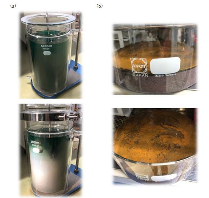 대용량 촉매 합성 반응기 (a) 및 ZVI-Cu 촉매의 건조 과정 (b)