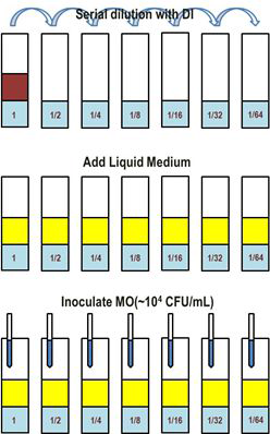 MIC 및 MBC 시험 모식도