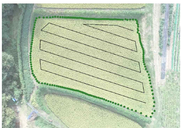 비정형 농지 경계 (녹색 점) 및 내부 방제 패턴 (검정 실선)