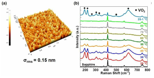 (a) 사파이어 기판 위에 증착된 VO2 박막의 AFM 이미지. (b) 측정 온도에 따른 VO2 박막의 Raman scattering 결과