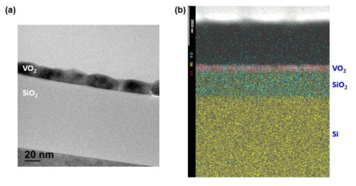 SiO2 기판 위에 형성한 10nm VO2 극초박막의 (a) TEM 이미지, (b) EDS 이미지