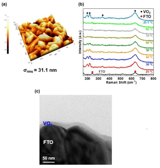 (a) FTO 기판 위에 증착된 VO2 박막의 AFM 이미지. (b) 온도 변화에 따른 VO2 박막의 Raman 데이터. (c) VO2/FTO 구조의 TEM 이미지