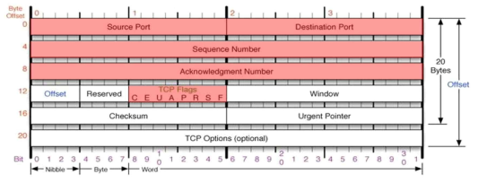 조작 가능한 TCP 헤더 필드