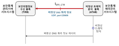 비정상 DNS 쿼리 정보 전달 인터페이스 및 프로토콜 개요