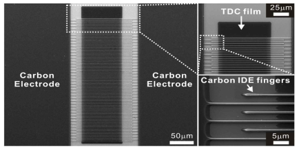 탄소 IDE 나노전극에 집적된 TDC 박막의 전자현미경 이미지