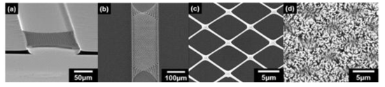 SEM 사진 (a) 공중 부유형 카본 나노메쉬 (bird-eye view); (b) 공중부유형 카본 나노메쉬 (top view) (c) 확대된 공중부유형 카본 나노메쉬 (top view) (d) 확대된 금속산화물 나노선이 성장된 공중부유형 카본 나노메쉬