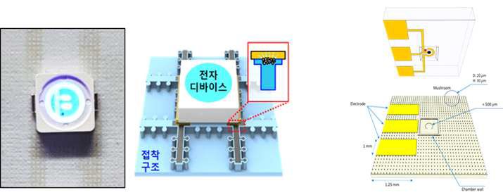 은 나노와이어 기반 그리드형 스마트 접착 패치 제작. 제작된 스마트 패치와 디바이스간 연결 시험(좌), 설계된 혈당 센서 연결부(우)