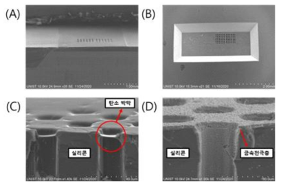 Via hole 구조 전자주사현미경 이미지. (A) Via hole 측면 이미지. (B) 웨이퍼 하단에서 관찰한 via hole 이미지. (C) 웨이퍼 상단의 Hole 을 실링한 탄소 박막 이미지. (D) 금속전극이 증착된 웨이퍼 하단의 via hole 측면 이미지