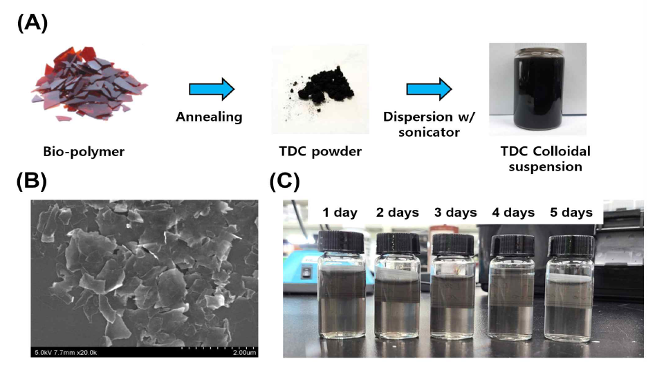 (A) 친환경 폴리머 소재를 이용한 TDC 콜로이드 혼합물 제작과정, (B) TDC flakes SEM image, (C) TDC 콜로이드 혼합물 안정성 실험 (5일)