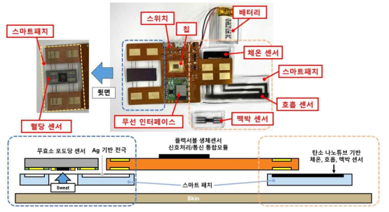 체온, 호흡, 맥박 및 혈당 센서 신호 감지를 위한 생체센서 시스템 Type A